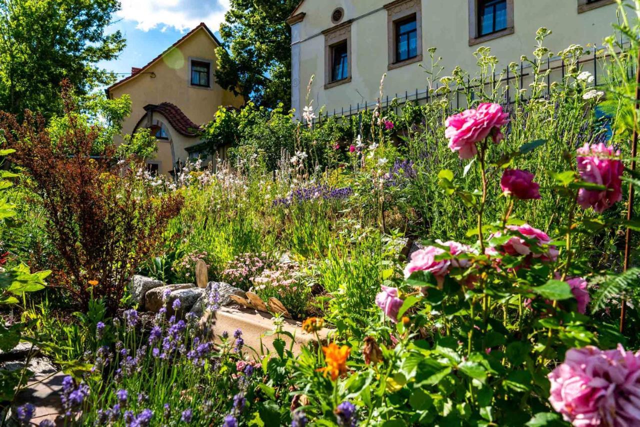 Landhotel Gut Wildberg Meißen Εξωτερικό φωτογραφία