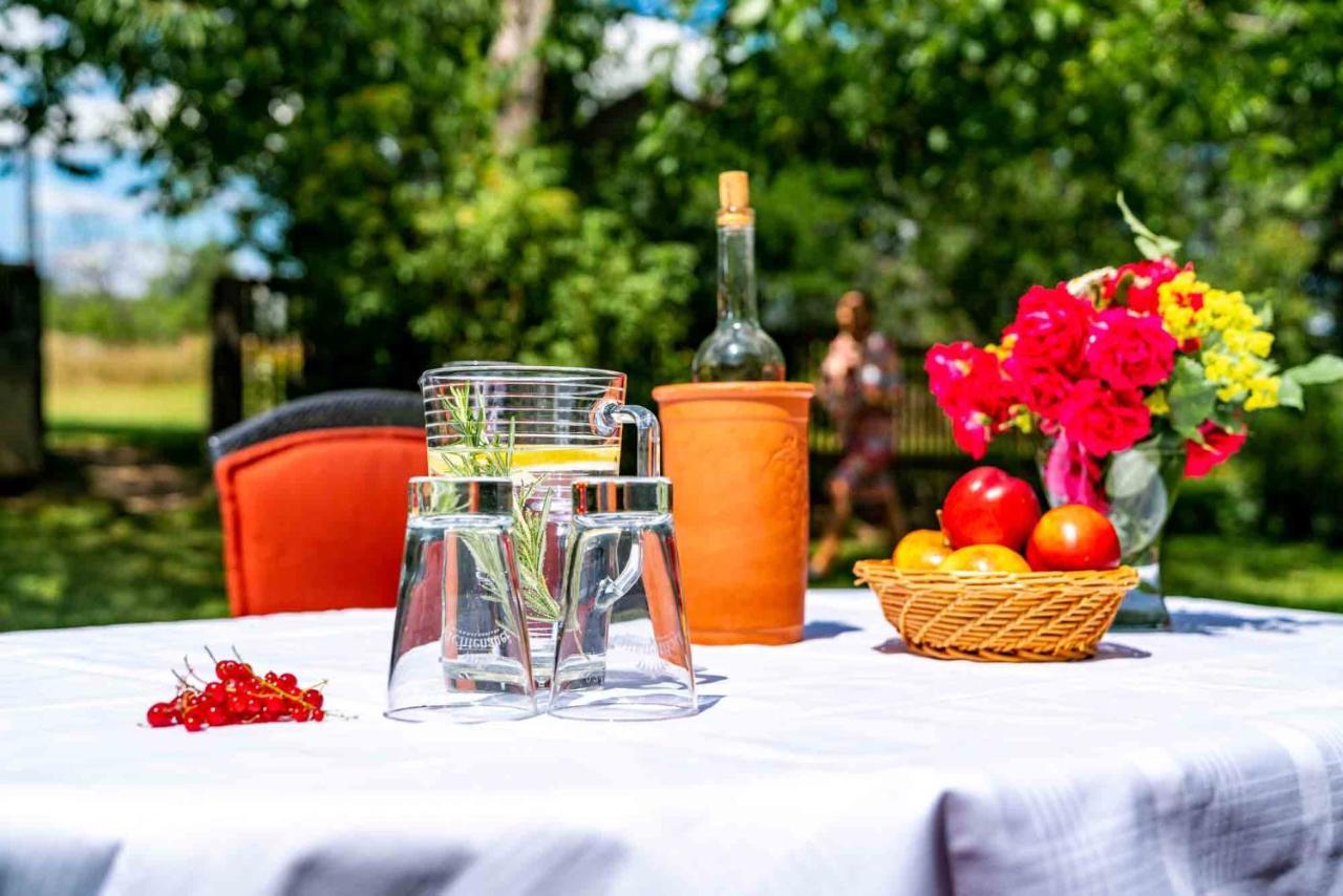 Landhotel Gut Wildberg Meißen Εξωτερικό φωτογραφία