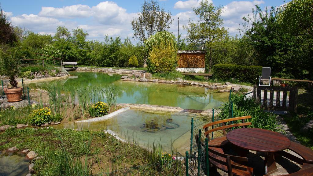 Landhotel Gut Wildberg Meißen Εξωτερικό φωτογραφία