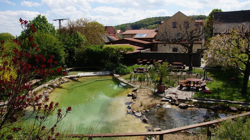 Landhotel Gut Wildberg Meißen Εξωτερικό φωτογραφία